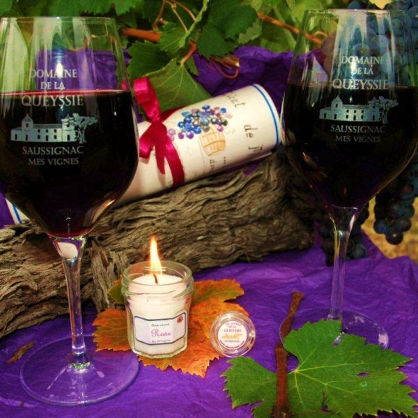 location-de-vignes